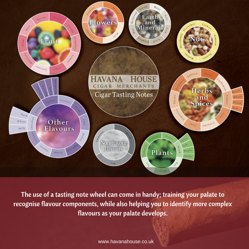 Havana House - Tasting Notes Wheel