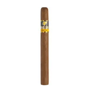 Cohiba Siglo V Cigar - Single