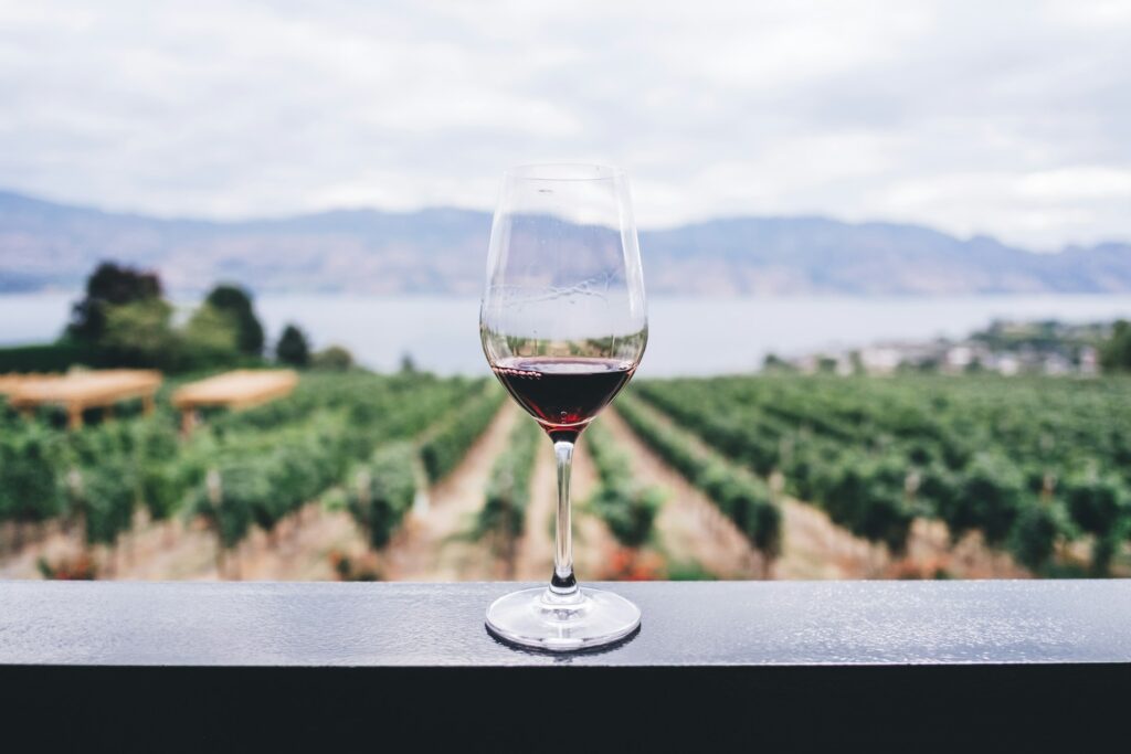 A glass of red wine by a vineyard