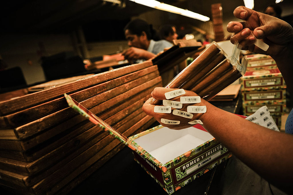 Handmade cigars being checked
