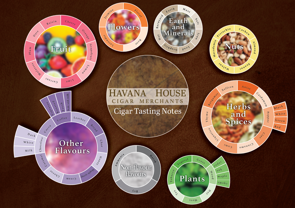 Cigar tasting notes flavour wheel