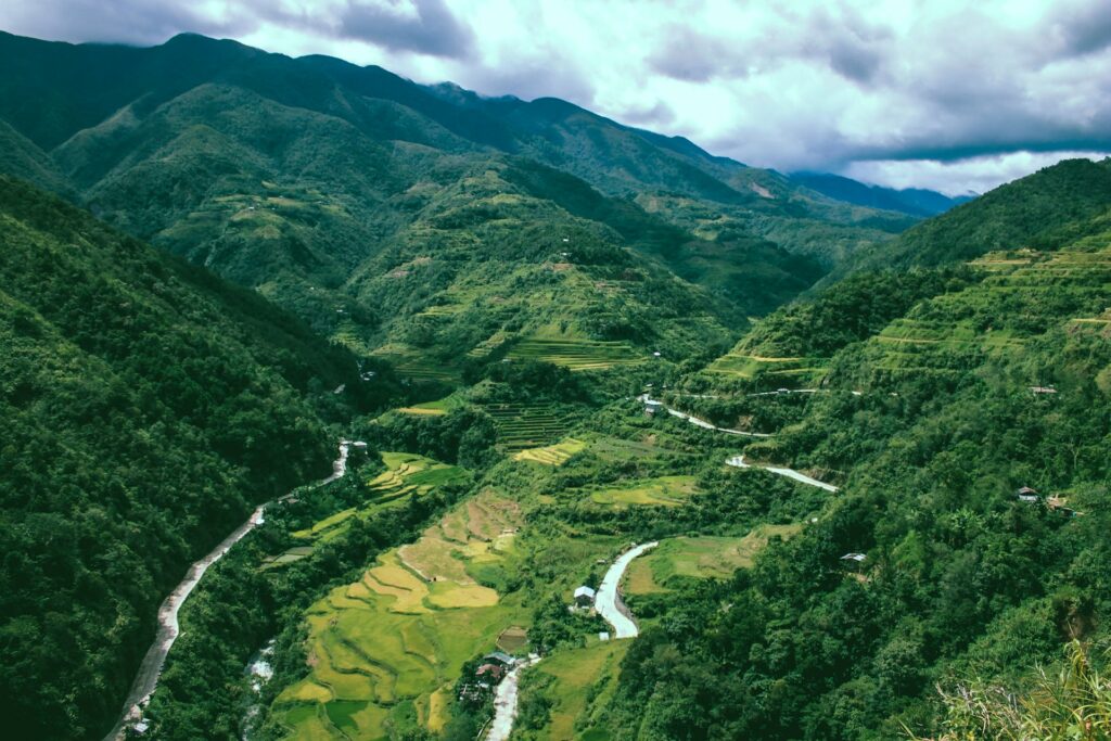 Plantations in Luzon in the philippines
