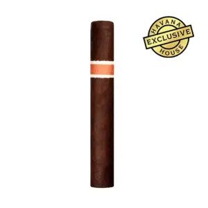 RoMa Craft Neanderthal JCF Robusto Larga Cigar - Single