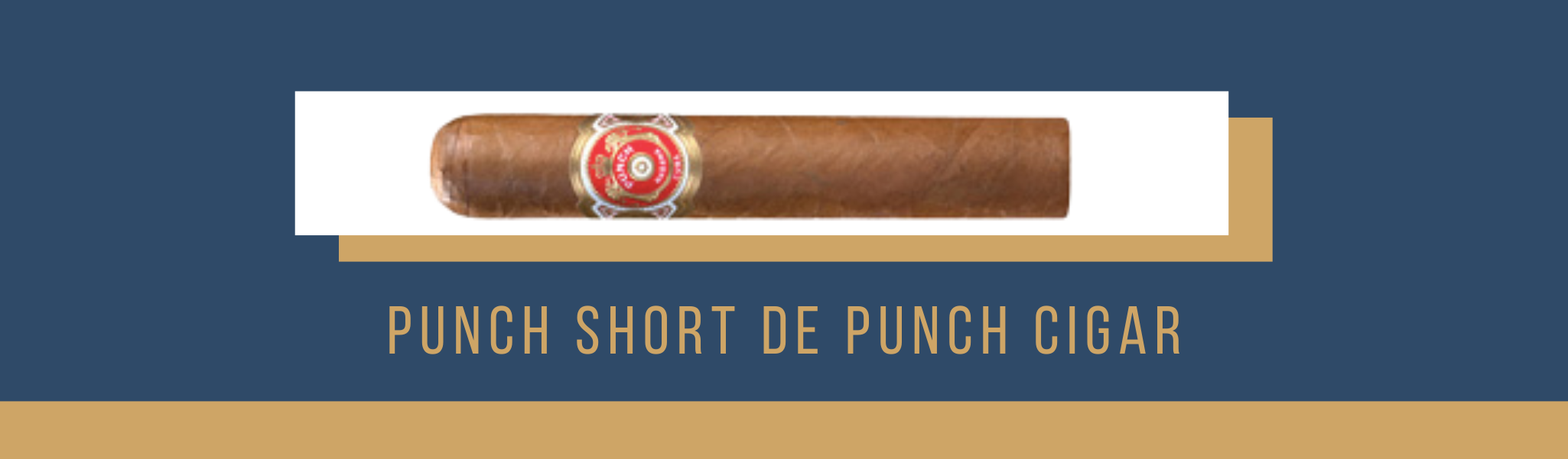 Buy the Punch Short de Punch cigar now