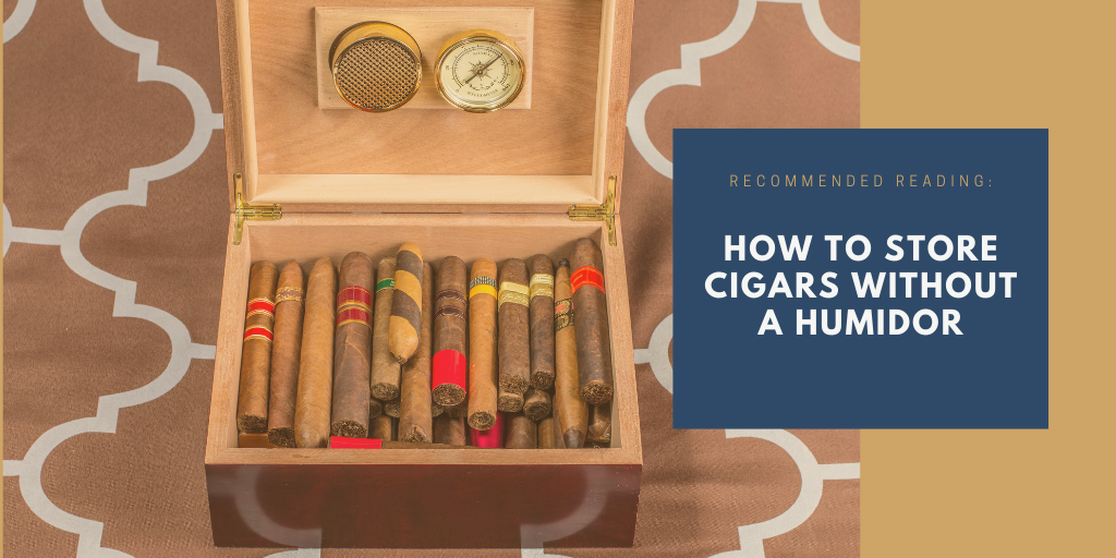 How to store cigars without a humidor