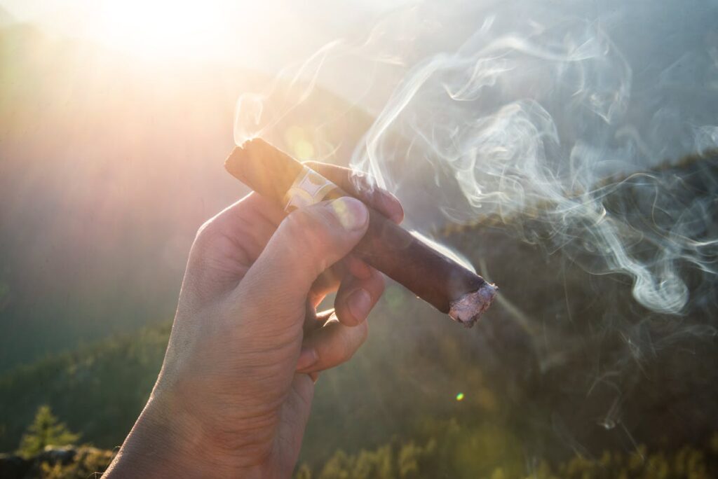 hand holding a cigar