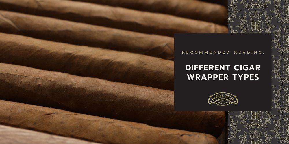 Recommended Reading: Different Cigar Wrapper Types