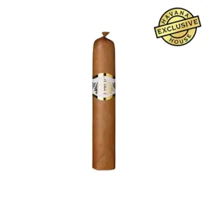 Casdagli D'Boiss DB52 Petit Robusto Cigar - Single