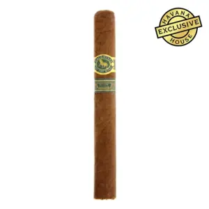 Casdagli Daughters of the Wind Pony Express Cigar - Single