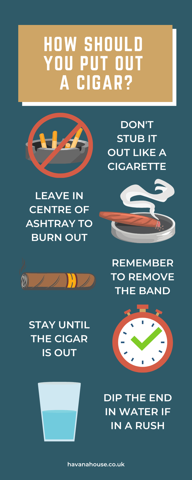How Should I Put Out a Cigar Infographic by Havana House