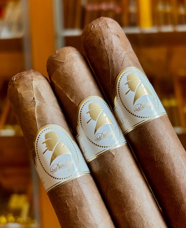 Davidoff Churchill