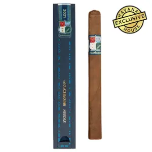 Casdagli Cypher 3311 Needle Cigar - Single Gift Box