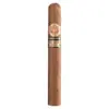 Ramon Allones Absolutos Cigar (2024 Limited Edition) - Single