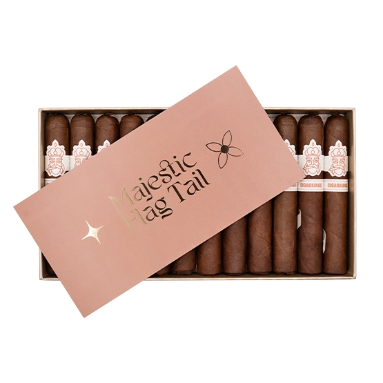 Cigarkings Coy25 Majestic Flagtail - Box of 12