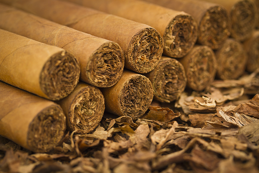 A macro shot of cigars on tobacco. These cigars are robusto sized.
** Note: Shallow depth of field