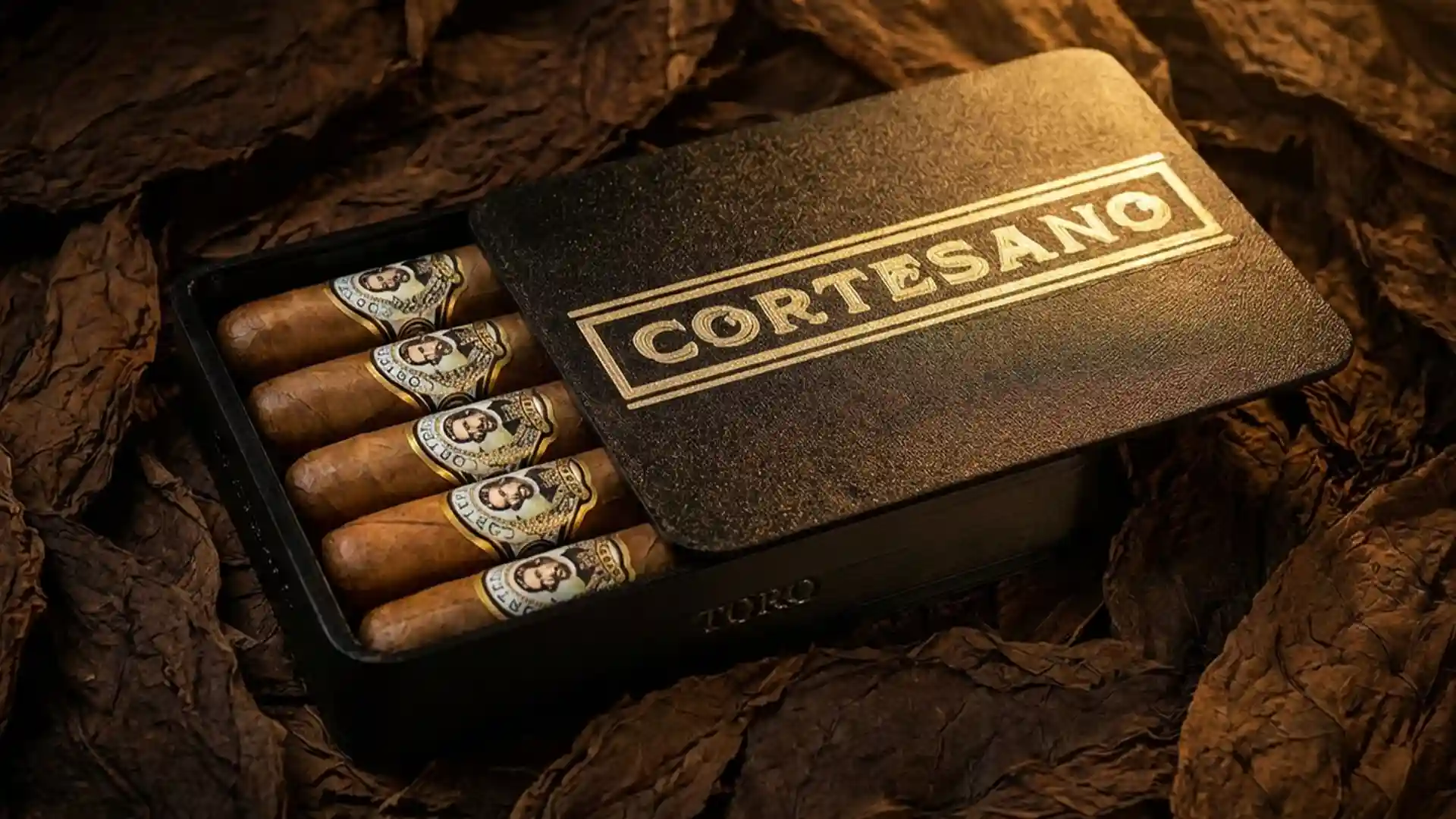 Cortesano 5 Pack